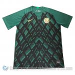 Camiseta de Entrenamiento Nigeria 19-20 Verde
