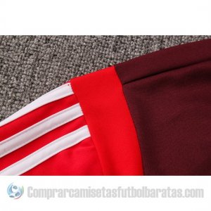 Chandal del Benfica 19-20 Rojo