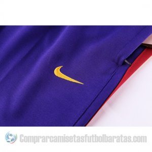 Chandal del Barcelona 19-20 Purpura